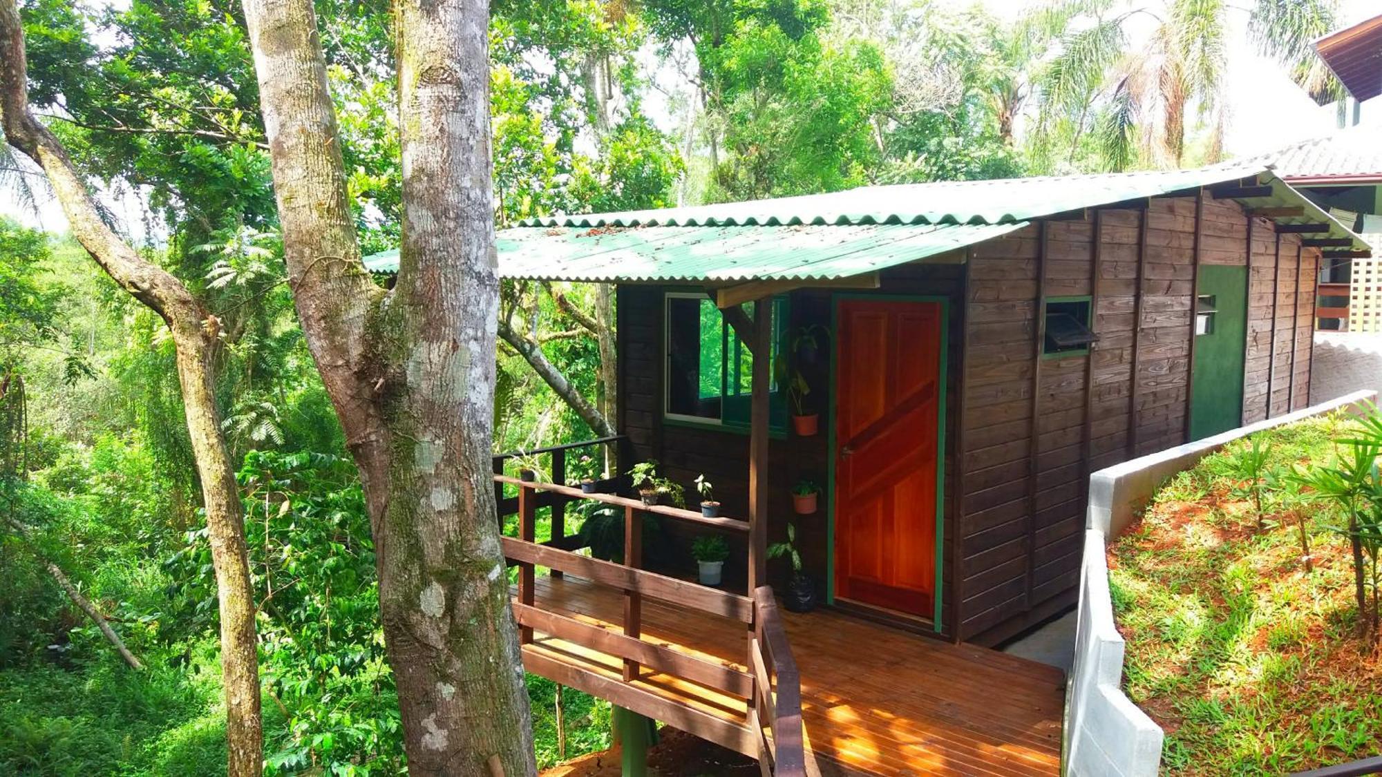 Florianópolis Pousada Hang Conectada Com A Natureza חדר תמונה